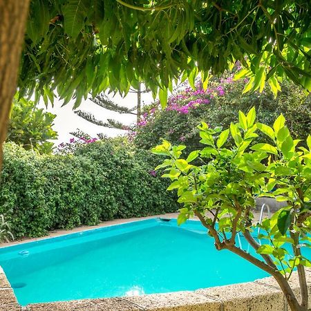 Casitas En El Paraiso カンデラリア エクステリア 写真